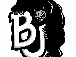 Baylor Logo PNG File