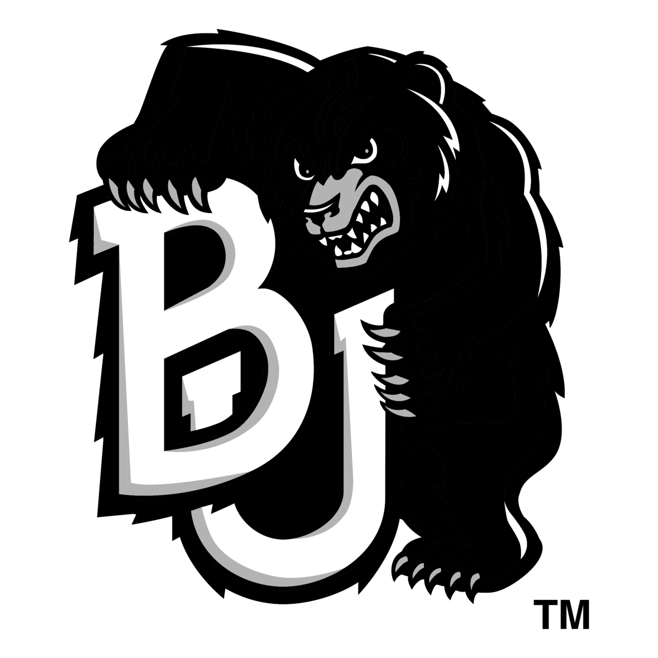 Baylor Logo PNG File