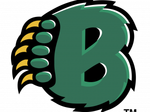 Baylor Logo PNG Photo