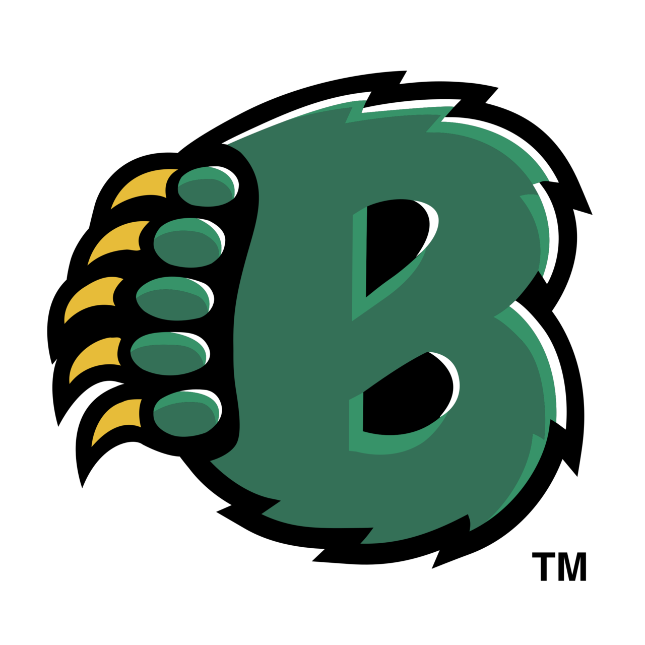 Baylor Logo PNG Photo