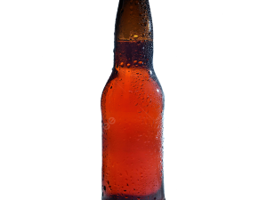 Bear Bottle PNG Cutout