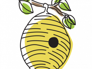 Beehive PNG Cutout