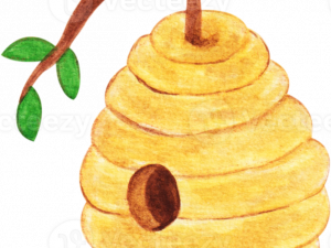 Beehive PNG HD Image