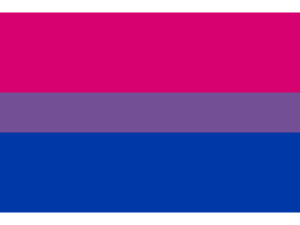 Bi Flag PNG