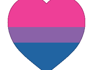 Bi Flag PNG Cutout