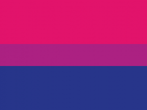 Bi Flag PNG HD Image