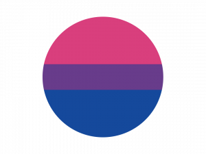 Bi Flag PNG Image