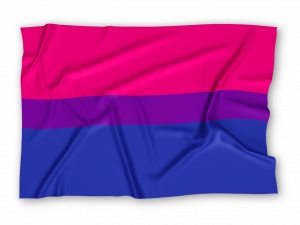 Bi Flag PNG Picture