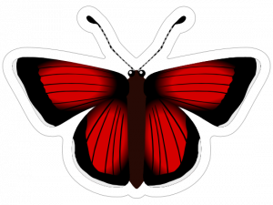 Black Butterfly PNG Picture