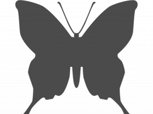 Black Butterfly Transparent