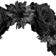 Black Flowers PNG Cutout