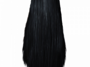 Black Hair PNG