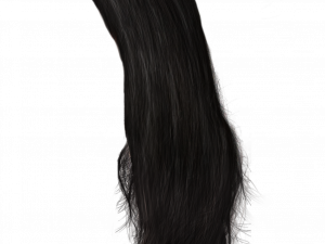 long black hair, silky strands, hair texture, hair styling, Black Hair PNG