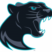 Black Panther Logo PNG Images HD