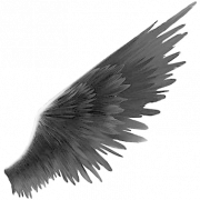 Black Wings PNG Clipart