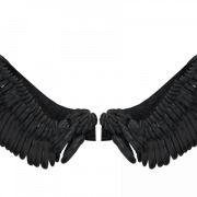 Black Wings PNG Cutout