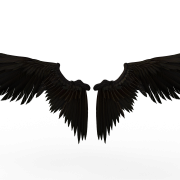 Black Wings PNG Cutout - PNG All