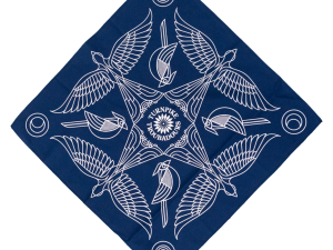 Blue Bandana PNG Free Image