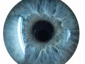 Blue Eyeball PNG Cutout