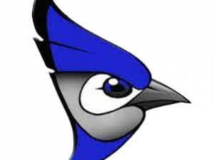 Blue Jays Logo PNG Image HD