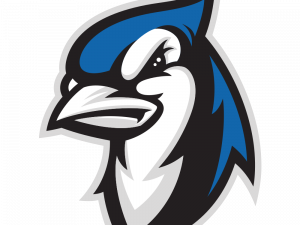 Blue Jays Logo PNG Picture