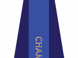 Blue Ribbon PNG Picture