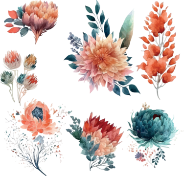 Boho Flowers PNG Background