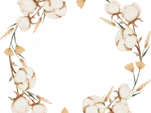 Boho Flowers PNG Cutout