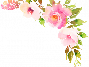 Boho Flowers PNG Pic