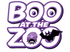 Boo PNG Background