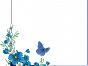 blue flowers, butterfly illustration, floral border, nature design, Border Frame PNG