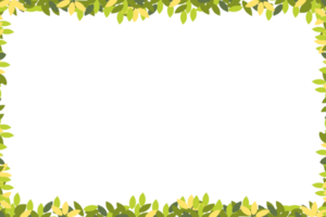 green foliage frame, botanical border design, nature-inspired decoration, vibrant leaf illustration, Border Frame PNG