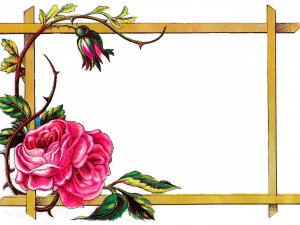 vintage floral border, decorative rose design, elegant frame illustration, botanical artwork, Border Frame PNG