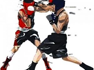 Boxing PNG Cutout