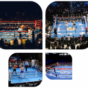 Boxing Ring Transparent