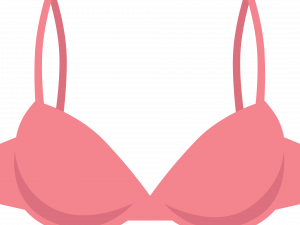 Bra PNG Background