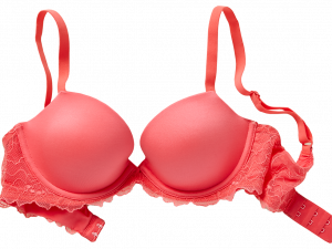 Bra PNG Clipart