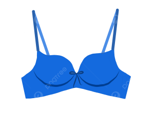 Bra PNG Cutout