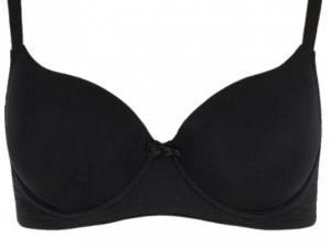 Bra PNG File