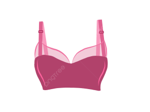 Bra PNG Image File