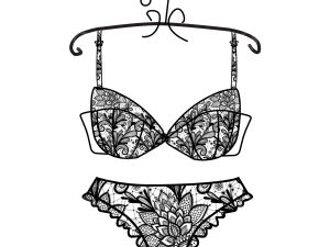 Bra PNG Image HD