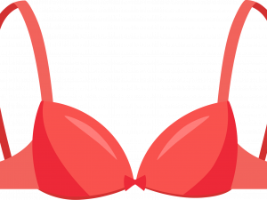 Bra PNG Images