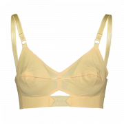 Brassiere PNG Cutout - PNG All