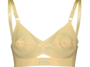 Brassiere Background PNG