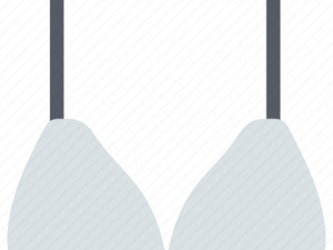 Brassiere PNG