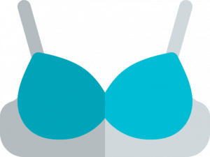 Brassiere PNG HD Image