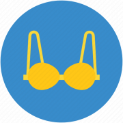Brassiere PNG Image