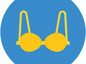 Brassiere PNG Image