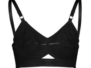 Brassiere PNG Image File