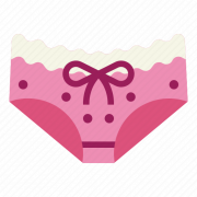 Brassiere PNG Photo
